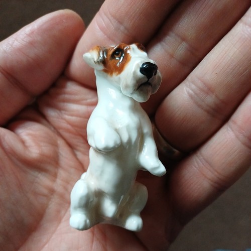 Royal doulton sealyham - royal,