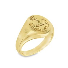 9ct Yellow Gold Family Crest Signet Ring - Size P½ - 12x15mm