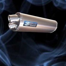 Kawasaki ZXR400 H 1989-1990 Exhaust Silencer Muffler - Twin Port - Titanium 