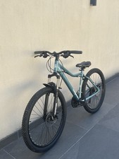 MONGOOSE BOUNDARY MOUNTAIN