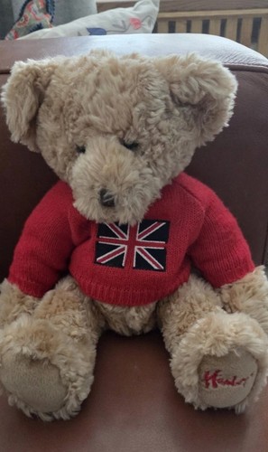 Hamley teddy bear - teddy,