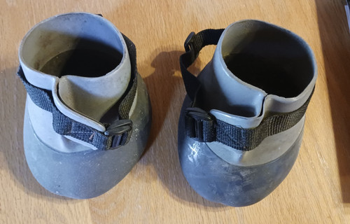 Horse boots stable rodeo - horse,