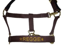 Personalised Embroidered Padded Headcollar with Star Motif All Sizes From £11.90