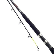 Daiwa Fishing Rod D Wave