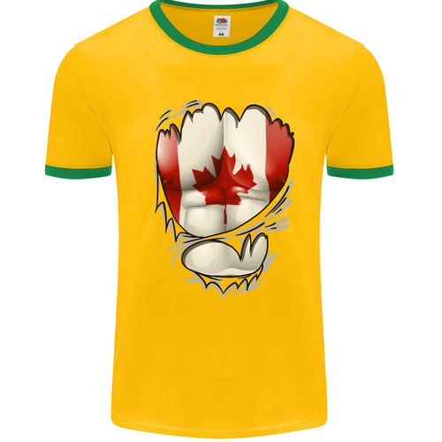 Gym canadian maple - canadian,
