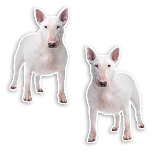 10cm white english - 2,