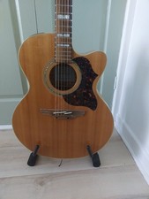 Takamine EG523SC