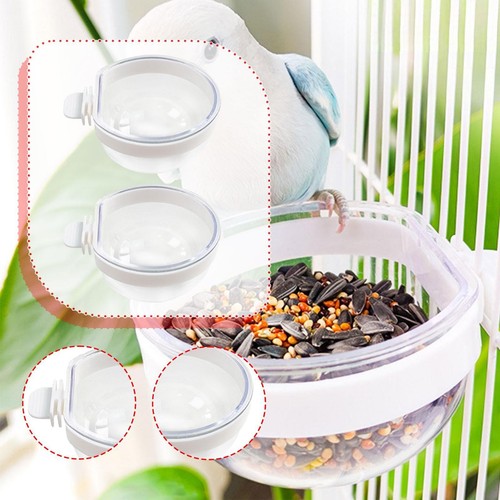Bird feeder water - bird, bowl