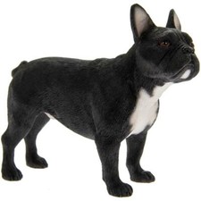 Best Breed Dog Standing French