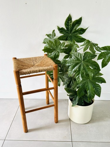 1970s bauche style - bauche,