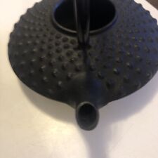 Japanese ~ Cast Iron Tea Pot