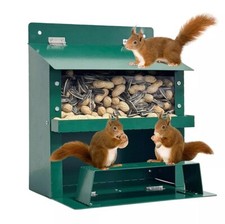 Outdoor Garden Squirrel Feeder