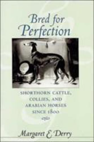 Animals history culture - animals,,