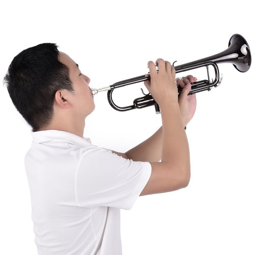 Trumpet brass black student - brass,