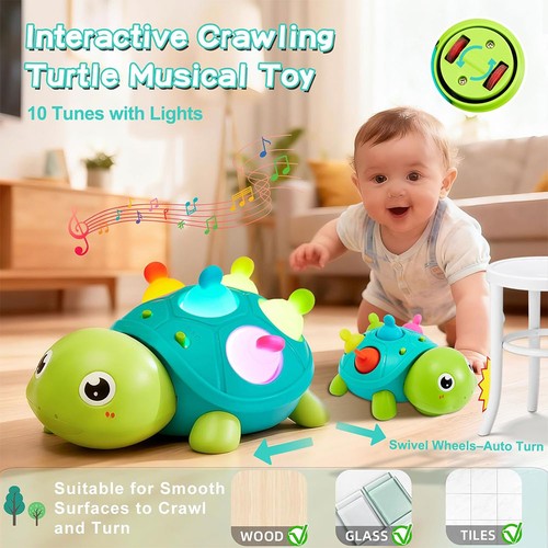 Musical crawling turtle baby - musical,