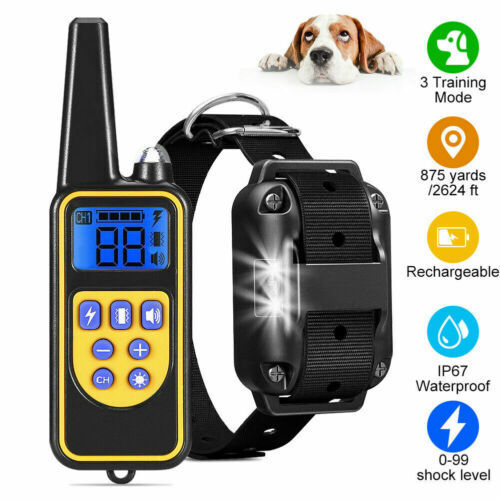 2624ft remote dog - 2624ft,