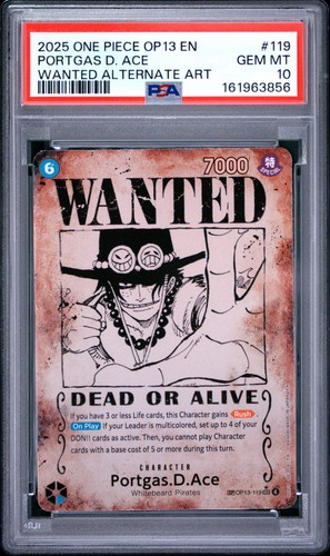 One piece portgas ace - piece,
