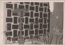 1964 Photo of Stair Hall With