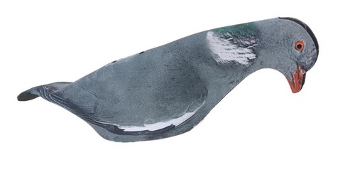 Neoprene pigeon shell decoy - pigeon,
