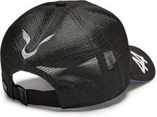 2024 Mercedes-AMG F1 Lewis