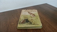 The january tortoise k - the,