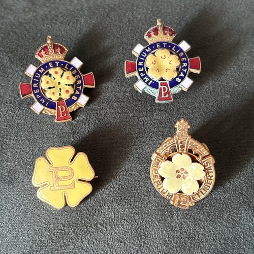 Vintage primrose league - vintage,