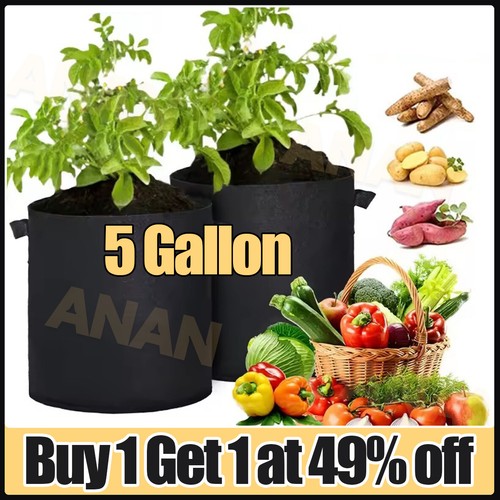 Pack large plant - 10, grow