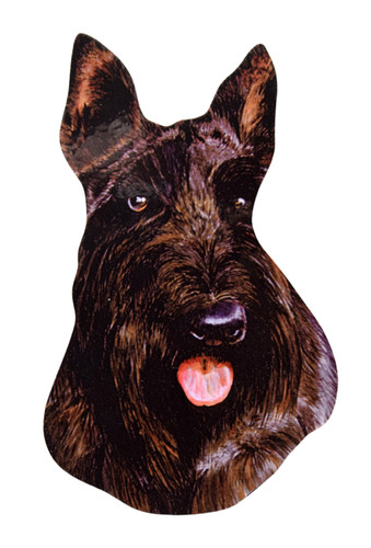 Scottish terrier magnet - terrier,