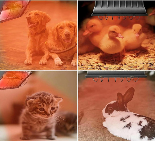 Moumoupurr 250w poultry - 250w,