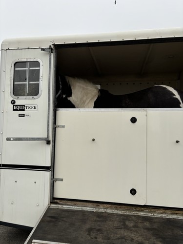 Large equi trek show treka - equi-trek,