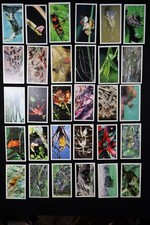 Grandee Cigar Cigarette Cards