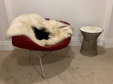 X1 Knoll Studio Bertoia Large