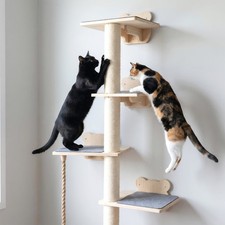 Wall-Mounted Cats Floating