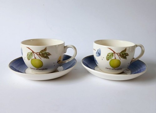 Wedgwood sarah garden - wedgwood, citrus