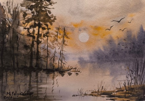 Berd foggy forest wildlife - forest,
