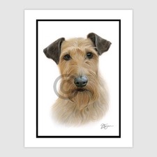 Original colour pencil drawing