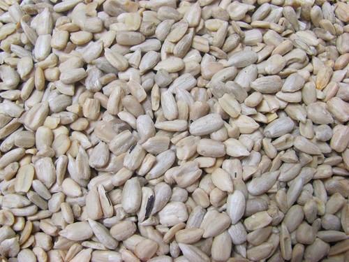 Chubby sunflower hearts for - sunflower,