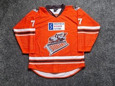 Sheffield Steelers Home