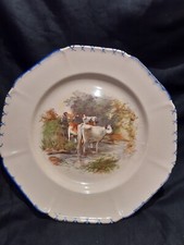 Vintage Parrot & Co 8in Dining