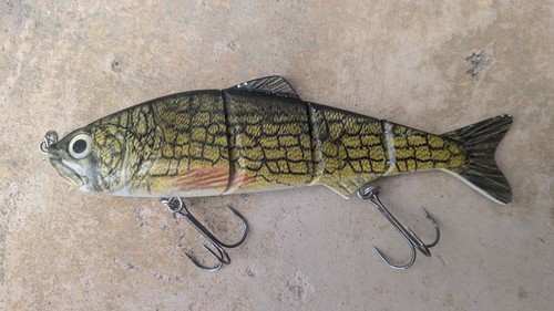 Large pike bass shark - pike/bass/shark, fishing