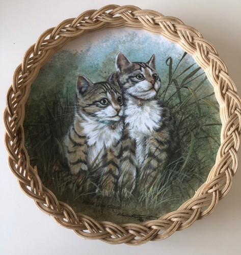 Vintage maine coon kittens - vintage,