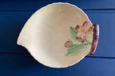 Carlton Ware Hand Painted