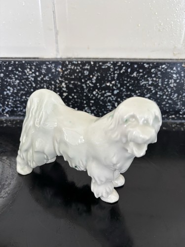 Puli dog - puli,