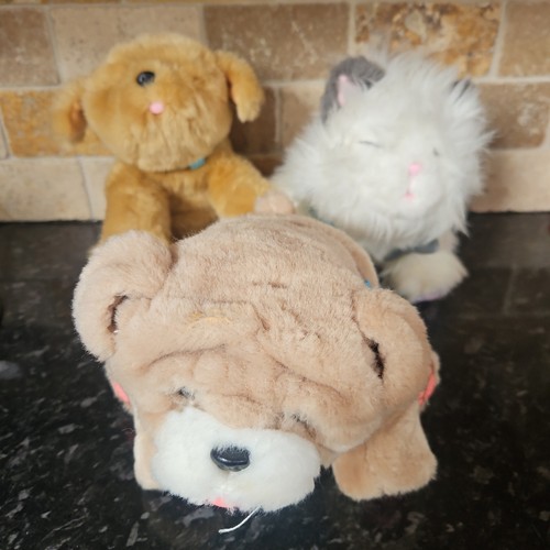 Little live pets cuddles - live,