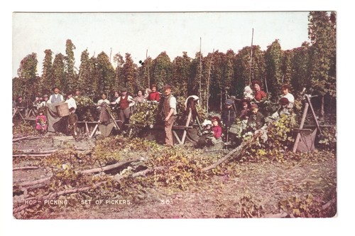 Hop picking set pickers - hop-picking,