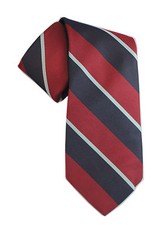 ROYAL AIR FORCE Polyester Tie