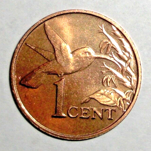 1999 trinidad and tobago - trinidad,