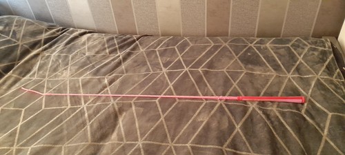 Horse riding whip schooling - whip, (schooling
