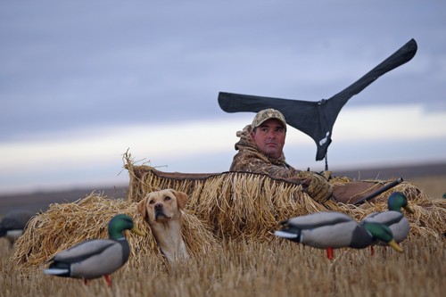 Goose decoy ghg - goose,
