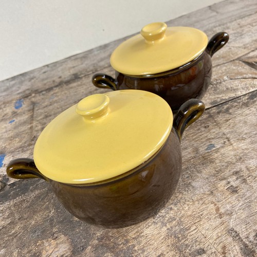 Pair mcm vintage - denby, eclipse